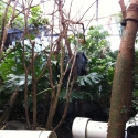 thumbs technomad dallas aquarium The Technomad Noho C